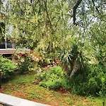 Nora Mit Terrasse By Interhome *